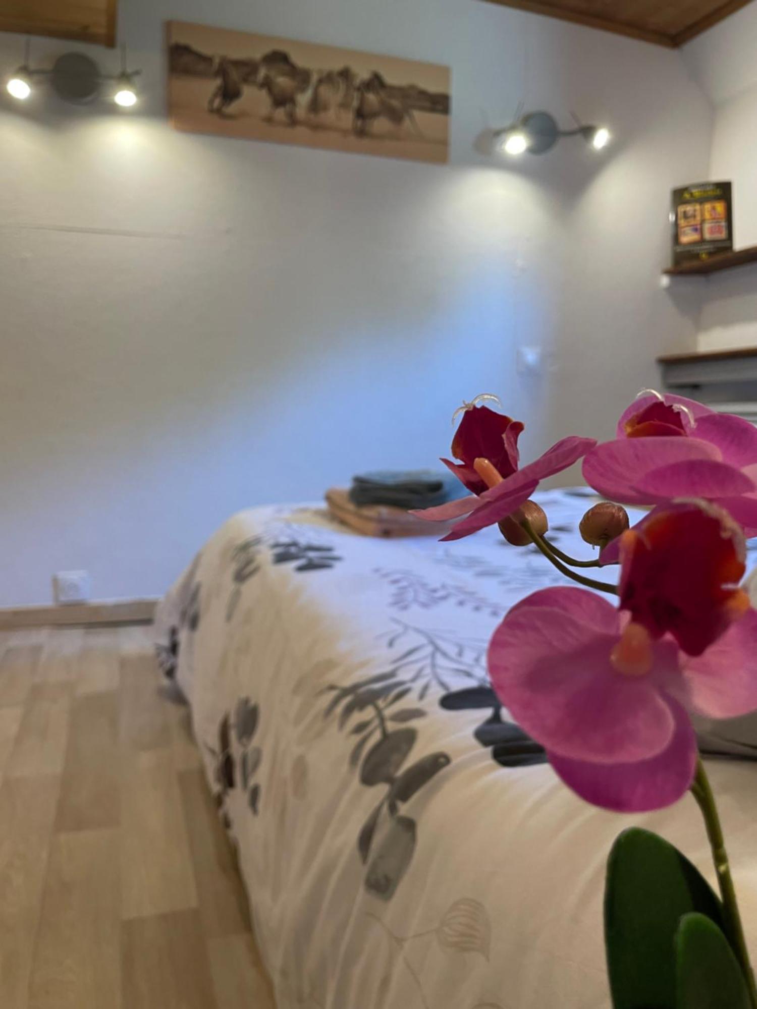 Peniche Le Pescalune - Chambre D'Hotes Arles Ngoại thất bức ảnh